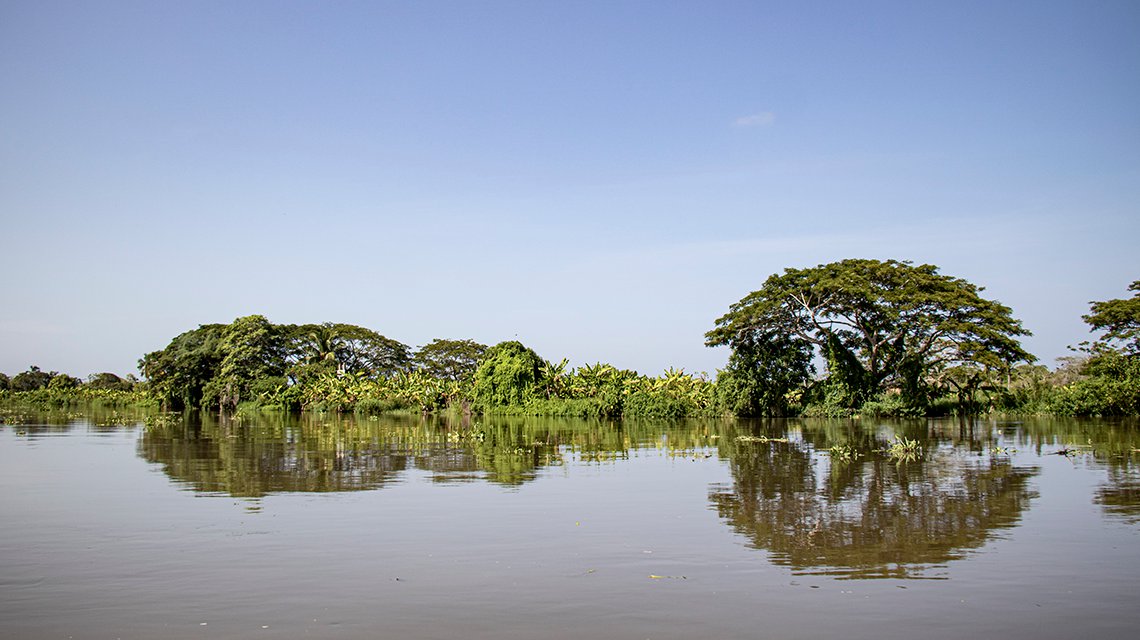 Sacyr restaurará los ecosistemas del Canal del Dique, en Colombia