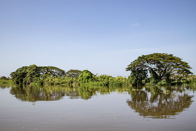 Sacyr restaurará los ecosistemas del Canal del Dique, en Colombia