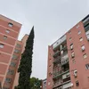 La compraventa de viviendas cae un 4% en junio mientras el precio sube un 8,8%