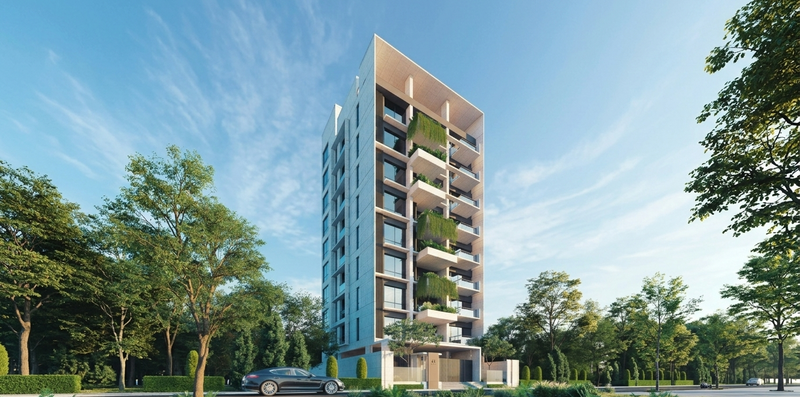 Gemini_Generated_Image_8fpwlb8fpwlb8fpw