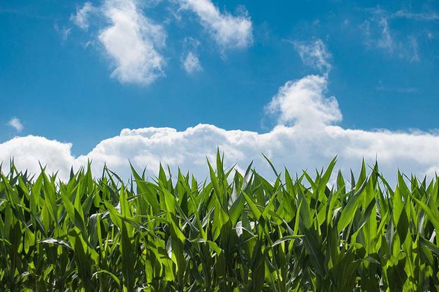 Los inversores apuestan por el sector agroalimentario