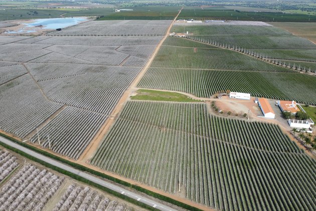 Agrihold culmina la desinversión de sus activos en Alentejo
