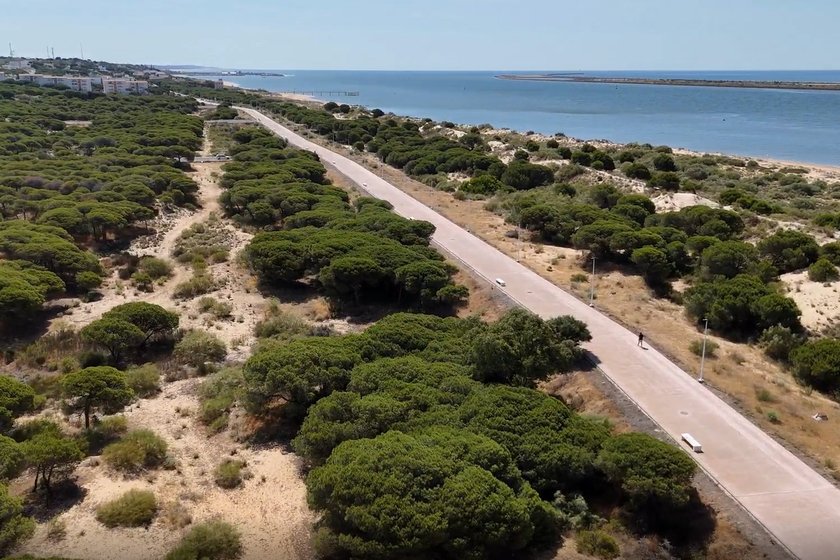 Grupo Insur adquiere suelo para desarrollar 233 viviendas unifamiliares en Huelva