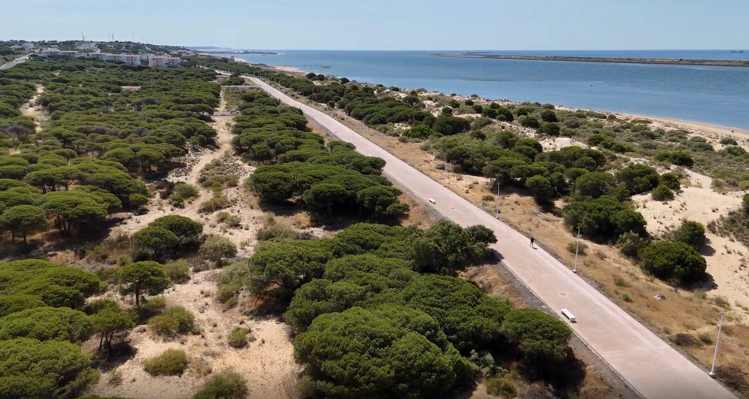 Grupo Insur adquiere suelo para desarrollar 233 viviendas unifamiliares en Huelva