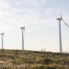 Bogaris se suma a la apuesta de Andalucía por producir energía limpia
