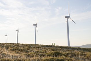 Bogaris se suma a la apuesta de Andalucía por producir energía limpia