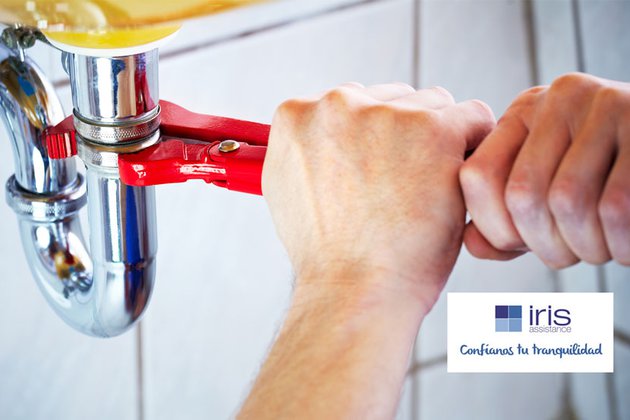 Iris Assistance pone en marcha medidas innovadoras que garantizan la atención al cliente