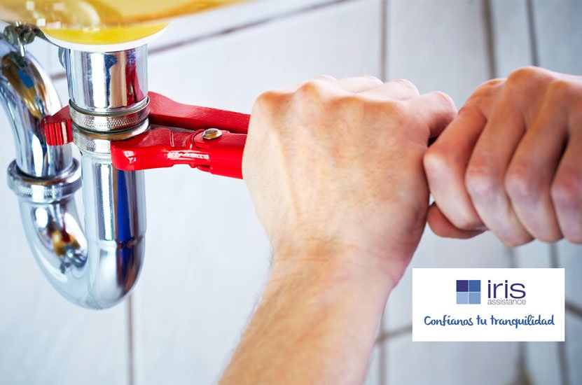 Iris Assistance pone en marcha medidas innovadoras que garantizan la atención al cliente