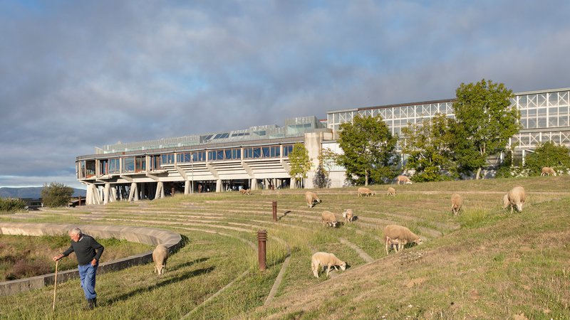 Campus Universitario de Vigo