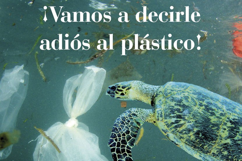 Gesvalt lanza una campaña para eliminar el plástico de los océanos