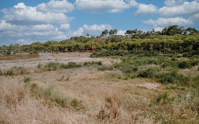Servihabitat comercializa un terreno de uso hotelero de más de 13.000 metros cuadrados