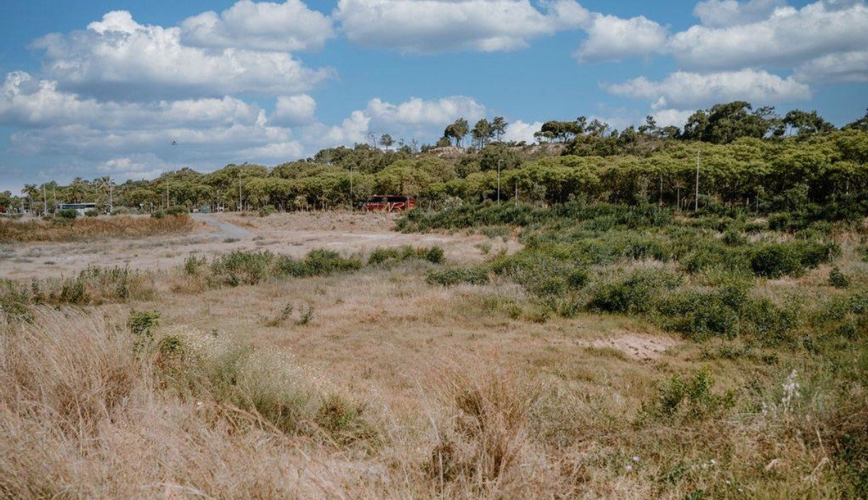 Servihabitat comercializa un terreno de uso hotelero de más de 13.000 metros cuadrados