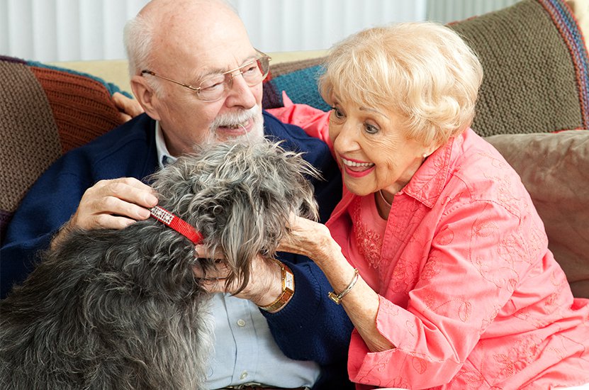 El senior living aterriza en España con diferentes modelos y con atractivo para los inversores