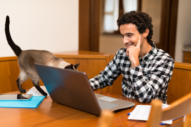 Montecarmelo, el barrio de Madrid más propicio para el teletrabajo