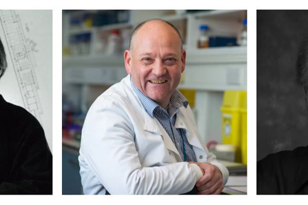 Juha Leiviskä, Russell Foster y Henry Plummer, Daylight Award 2020 de Velux