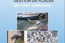 Las excesivas concentraciones de aves afectan a los edificios de las ciudades dañando su estructura y su estética