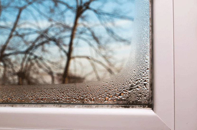 El frío y la lluvia de estos días: el mayor peligro para las humedades en el hogar, según Murprotec