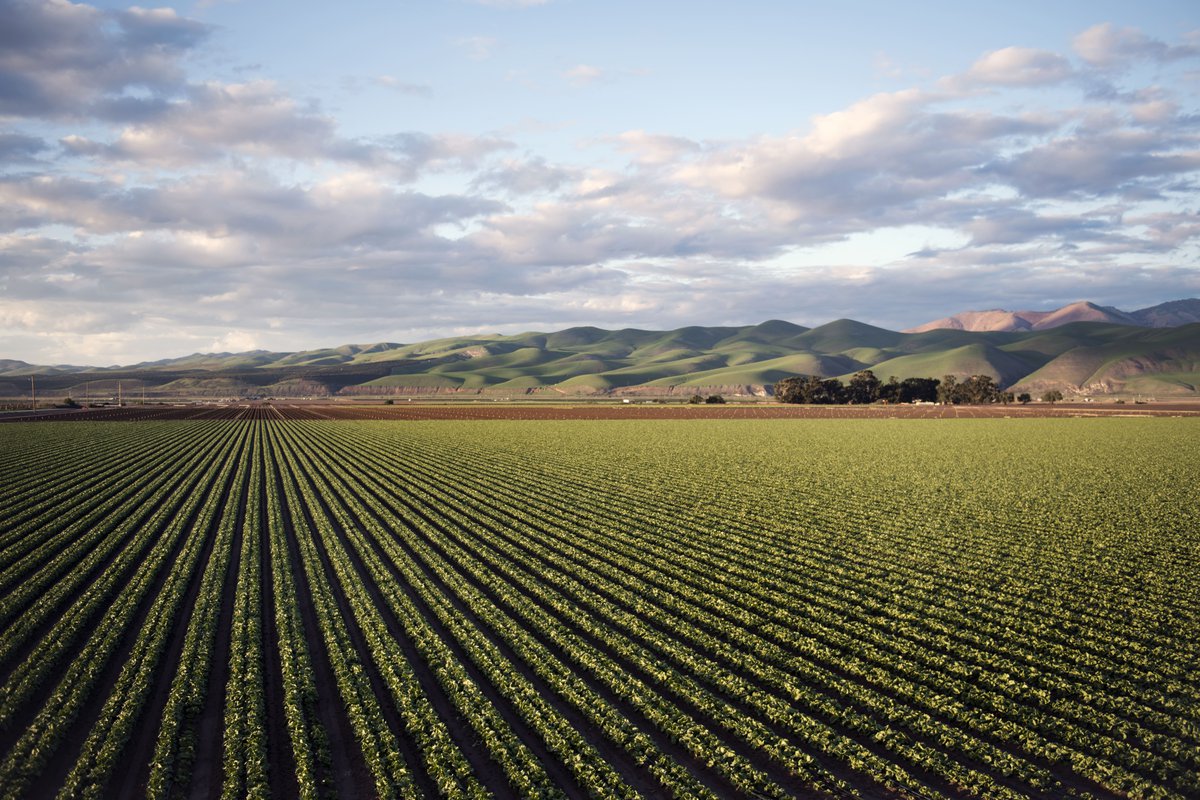 La inversión institucional en Agribusiness en España superará los 2.000 millones