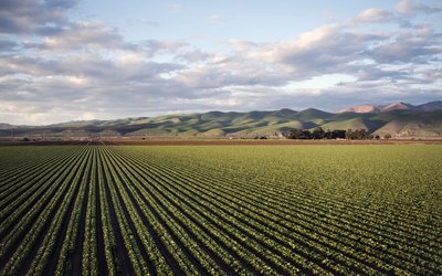 El sector agribusiness ibérico alcanzó los 1.200 millones de euros en 2025