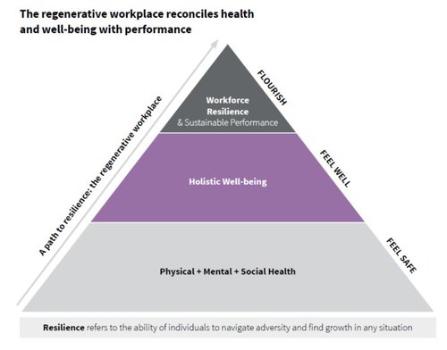 infografía JLL estudio.jpg