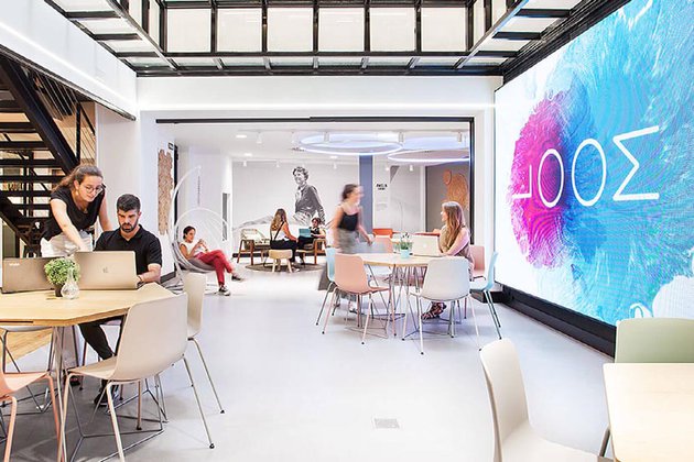 Loom y Suistainable Startups &amp; Co se unen para apoyar el emprendimiento sostenible