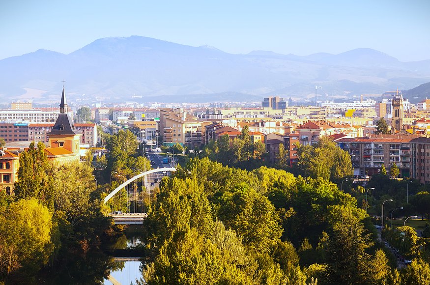 view-pamplona-with-bridge-arga